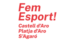 Fem Esport